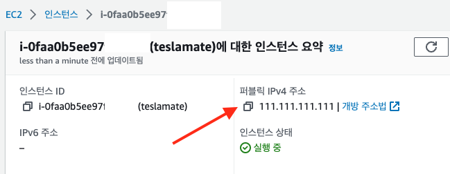 퍼블릭 IP 주소 복사